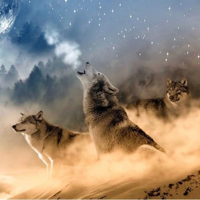 NovaDream3's profile picture. But most people know my username frostingc2345 or frostingc2356