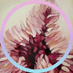 Earth-NO3 aka соль земли (@purplefigue) Twitter profile photo Earth-NO3 aka соль земли (@purplefigue) Twitter profile photo