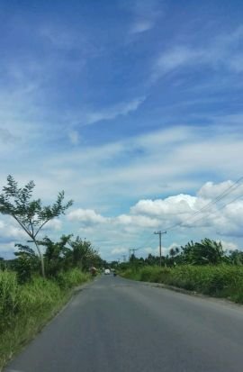 Hendria87342863's profile picture. 