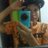 ThEXaViEnT's profile image