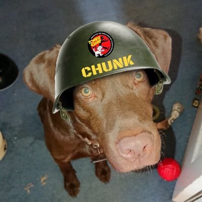 married enjoy Sci/fi comedy horror films,books&art craft..l luv dogs&cats all animals.Nature TV. etc.Chunk is a proud Luitenant soldier with  #ZSHQ lufz iz palz