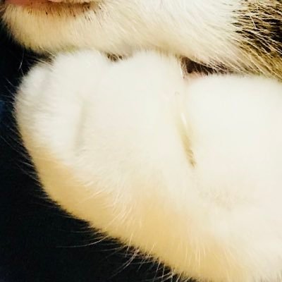 たくあんの三枚おろしさんのプロフィール画像