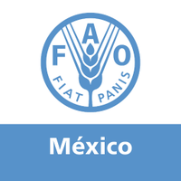 FAO México(@FAOMexico) 's Twitter Profile Photo