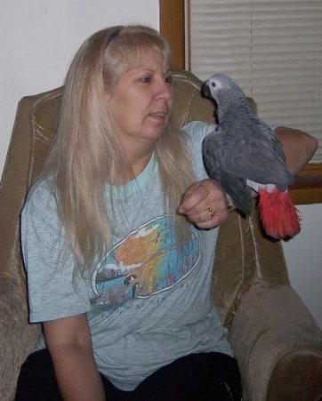 djsfamilypets's profile picture. DJ's Pet Shop is a full line pet store located in downtown Berlin, Wisconsin.