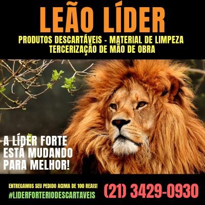 Leão Líder serviços terceirizados e loja de descartáveis e material de limpeza. Excelência e pontualidade. #leaolider #freguesiarj #siga #folow