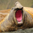 OurFarSouth's profile image