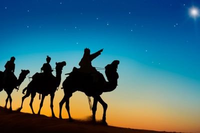 LianhuaO's profile picture. understand art in science understand science in art