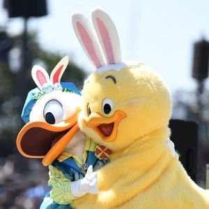 hantaku0925's profile picture. 愛知で高校→秋田で大学→アメリカに留学→海外ブラブラ→東京で調達→愛知で人事→東京で営業→東京で調達→愛知で調達