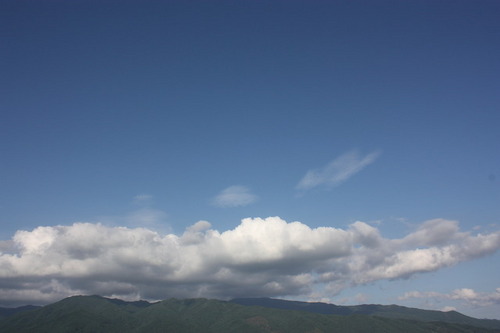 soo_0613's profile picture. 