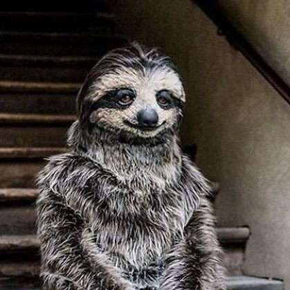 rohe_khali's profile picture. ‏هیچ