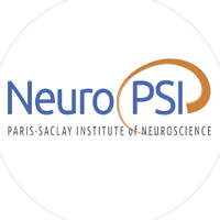 Paris-Saclay Institute of Neuroscience (@neuropsi_saclay) 's Twitter Profile Photo Paris-Saclay Institute of Neuroscience (@neuropsi_saclay) 's Twitter Profile Photo
