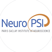 Paris-Saclay Institute of Neuroscience(@NeuroPSI_saclay) 's Twitter Profile Photo