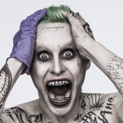 daiki_goga's profile picture. 