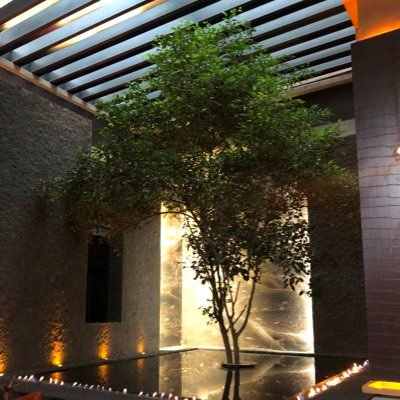 BONESG's profile picture. Have 2careers and both are my passion.I believe in respect,I LOVE technology.I love black-acid humor and sarcasm.I believe people could b better than they think