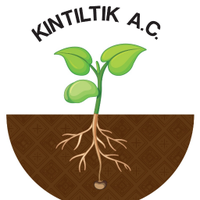 Kintiltik A.C.(@kintiltik) 's Twitter Profile Photo