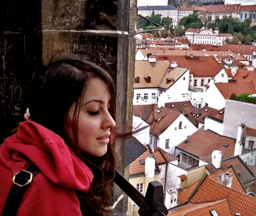 Sfeirova's profile picture. The last man on Earth sat alone in a room. There was a knock on the door...