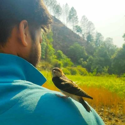 Designer, Entrepreneur & quick learner.
Founder@defynd.online
https://t.co/wrpTbh5fxI