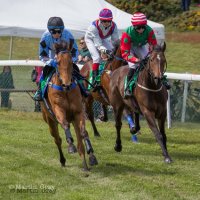 Guernsey Race Club (@guernseyraces) 's Twitter Profile