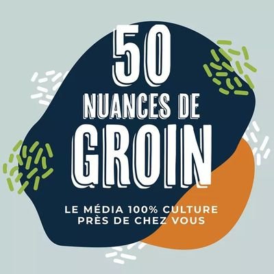 Créé conjointement entre le Collectif Rock08 et la Bibliothèque Départementale des Ardennes en juin 2019, 50 nuances de groin est un média culturel participatif
