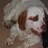 mhattersley's profile image