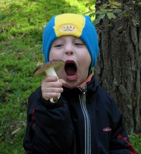 GeorgLnet's profile picture.