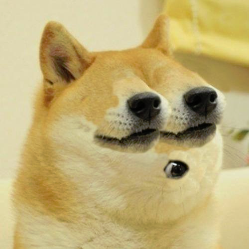 marsbro75's profile picture. Aspiring meme (re)poster