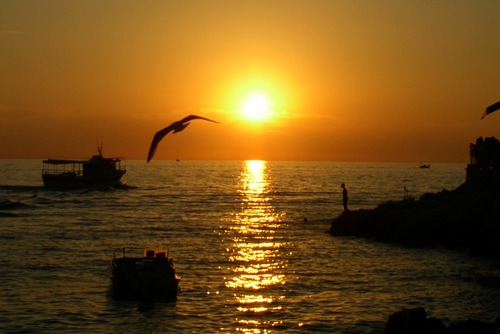 lurvlierluc's profile picture. Random warblings of a random :)