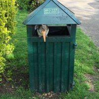 Friends of Tower Gardens Park (@towerfriends) 's Twitter Profile Photo Friends of Tower Gardens Park (@towerfriends) 's Twitter Profile Photo