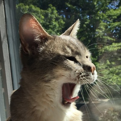 GeorgiaGabs's profile picture. .