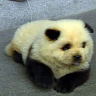 dorifu5's profile picture. はじめまして。
メモ帳替わりに使います。