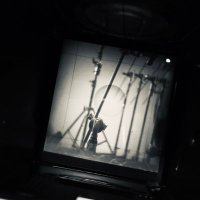 Whale (@walter44188038) 's Twitter Profile