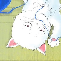 瑠依 (@rain02_a) 's Twitter Profile