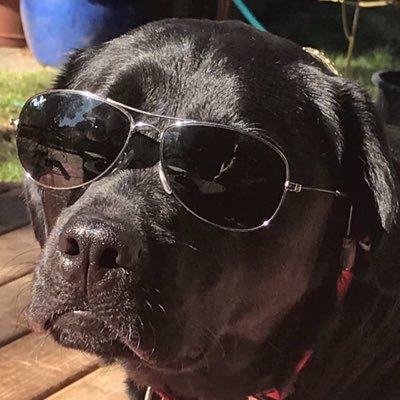 Faithfull_Lady's profile picture. 🙏Live, love, laugh, pray