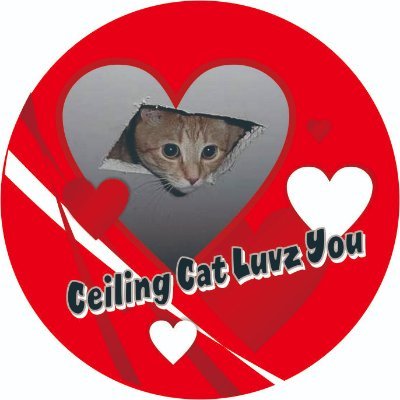 I am the Ceiling Cat Prophet. My prayers go straight to the Ceiling Cat who watches you all the time. I wandered the playa at Burning Man for 10 years!