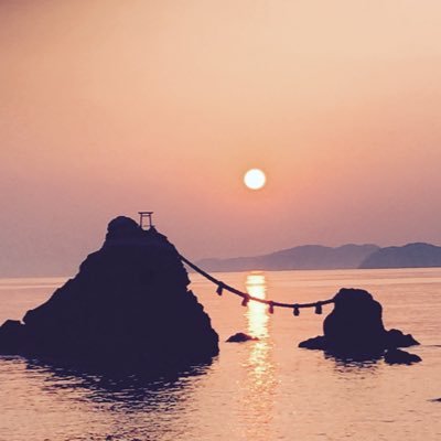 siVgHD's profile picture. 皆様方よろしくお願いします。