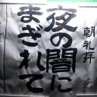 備玉（2025）さんのプロフィール画像