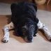 Vivian The Truth About Opioids (@vopioids) Twitter profile photo Vivian The Truth About Opioids (@vopioids) Twitter profile photo