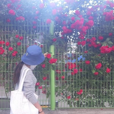 amios29's profile picture. #INTJ #curiosity #growth