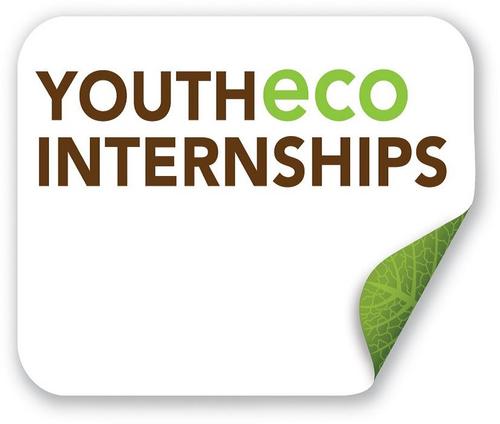 YEIProgram's profile picture. 