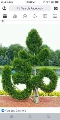 Krishna57498061's profile picture. krishna