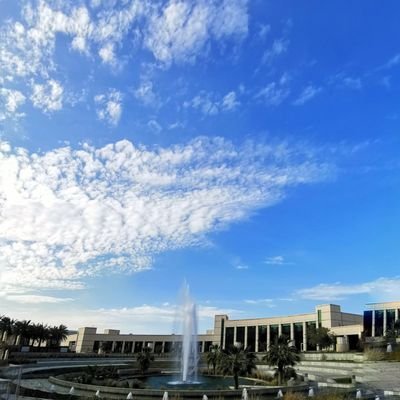 الاعانه ٢٥ الشهر تنزل ممكن تنزل قبل بس غالبا ٢٥ تنزل واذا كان يوم يمعه تنزل خميس او الأحد/عندك واسطه اسال واسطتك لا تسألنا / يداوم او لا اول اسبوع ماندري