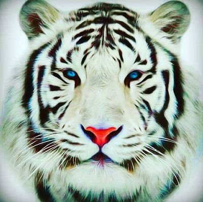 Msjee04's profile picture. # Real Madrid