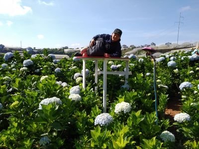 Plant Breeder