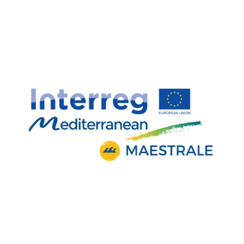 maestrale_MED's profile picture. 