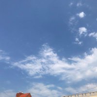 しろくま (@polarbearyi) 's Twitter Profile