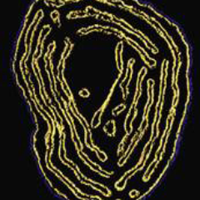 ReichertLab (@reichertlab) 's Twitter Profile Photo ReichertLab (@reichertlab) 's Twitter Profile Photo