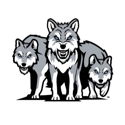 Official page of the Wilkes Barre Area Wolfpack Athletic teams which begin play 2019-2020. Are you ready to run with the pack?