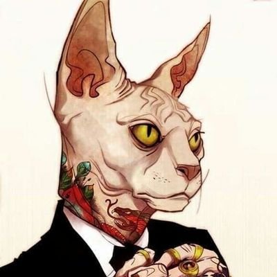 chu_tit's profile picture. 