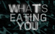 People battle distorted body images & self-created, life-threatening food rituals & compulsions in a fight for their lives. WED 10/9c on E!  #whatseatingyou