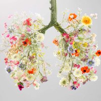 Ward 8A (@respiratorycgh) 's Twitter Profile